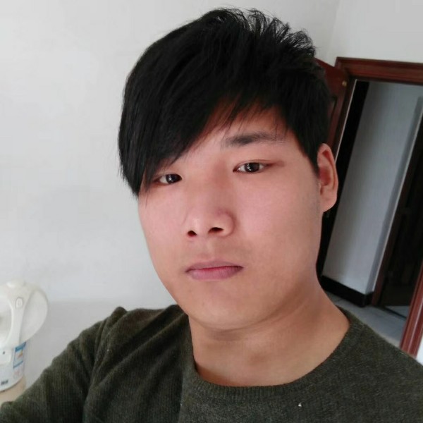 猫咪老实的照片