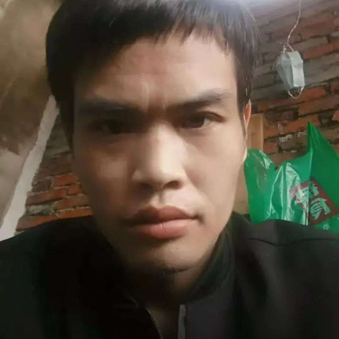 呆萌向翅膀的照片