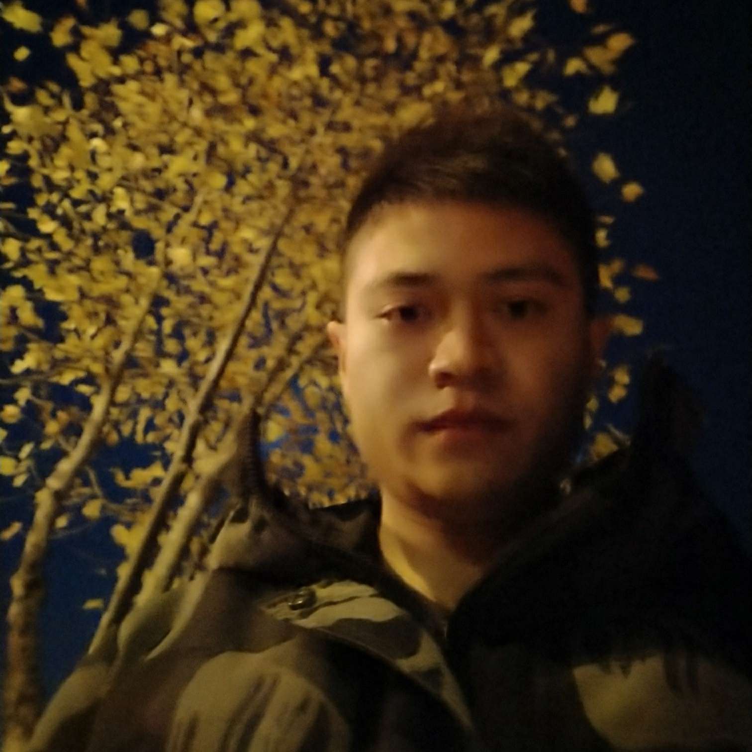 真航的照片