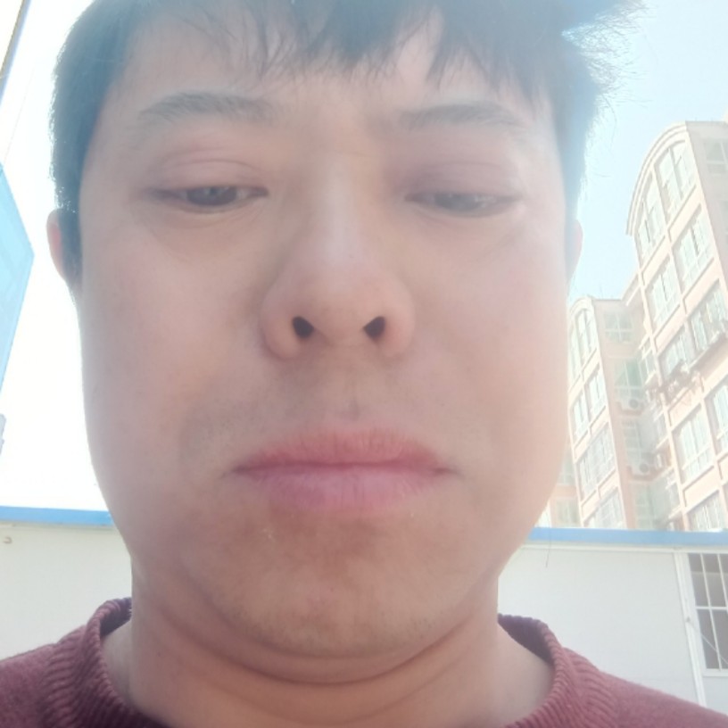 寒冷有河马的照片