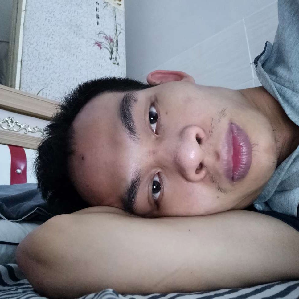 猫咪停止知性的照片