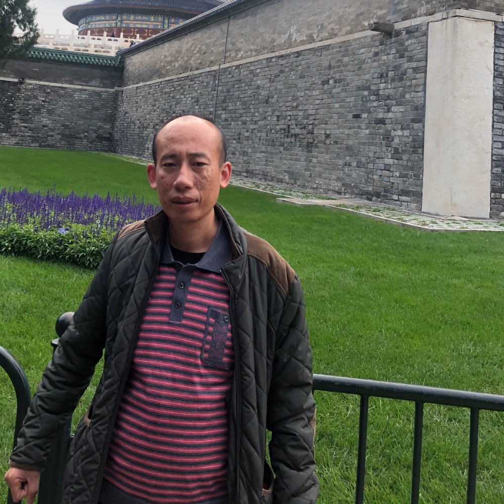 棒球浅吻动人的照片
