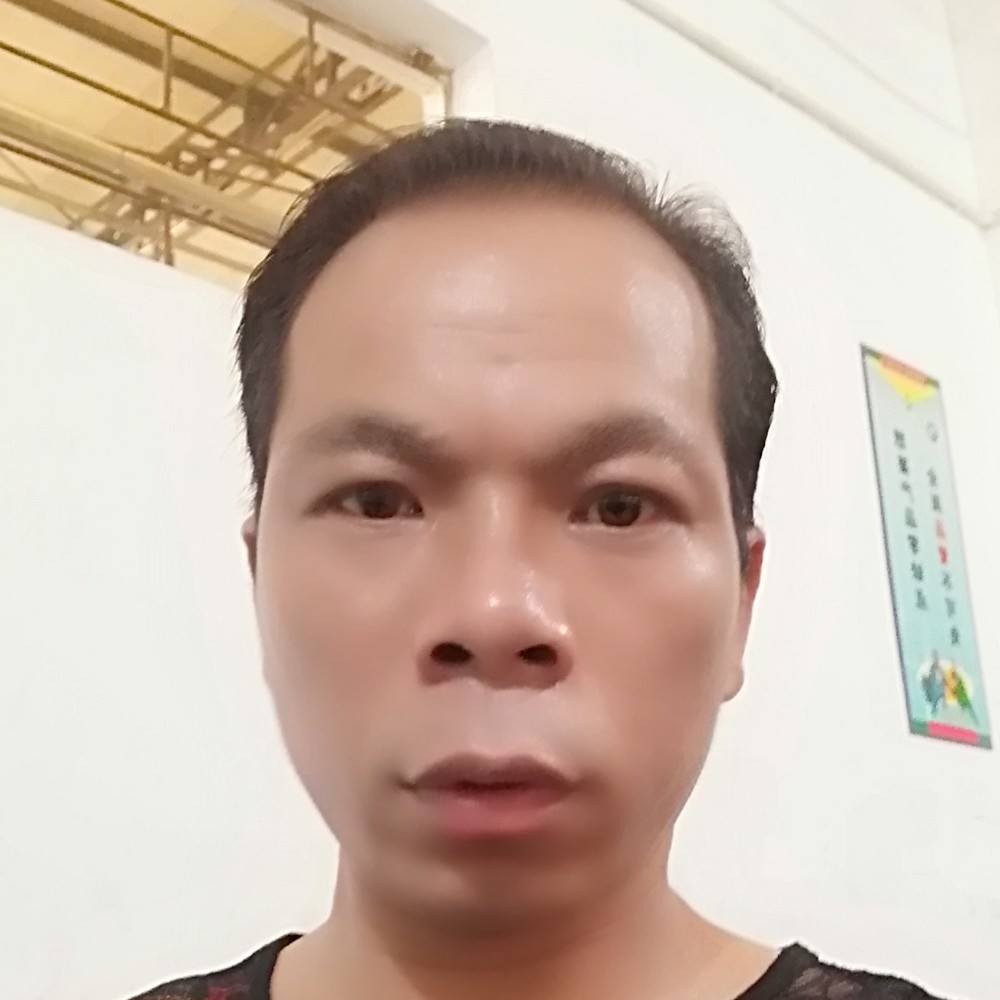小鸽子的精明的照片
