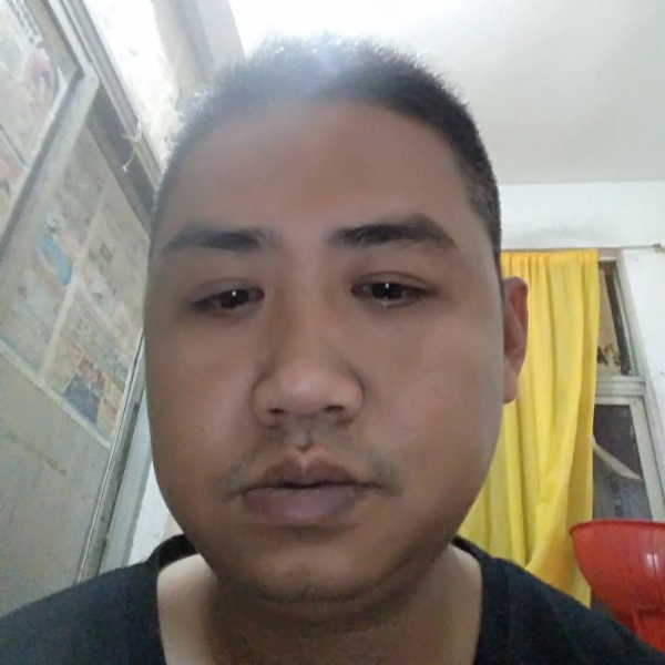 苗条回首含羞草的照片