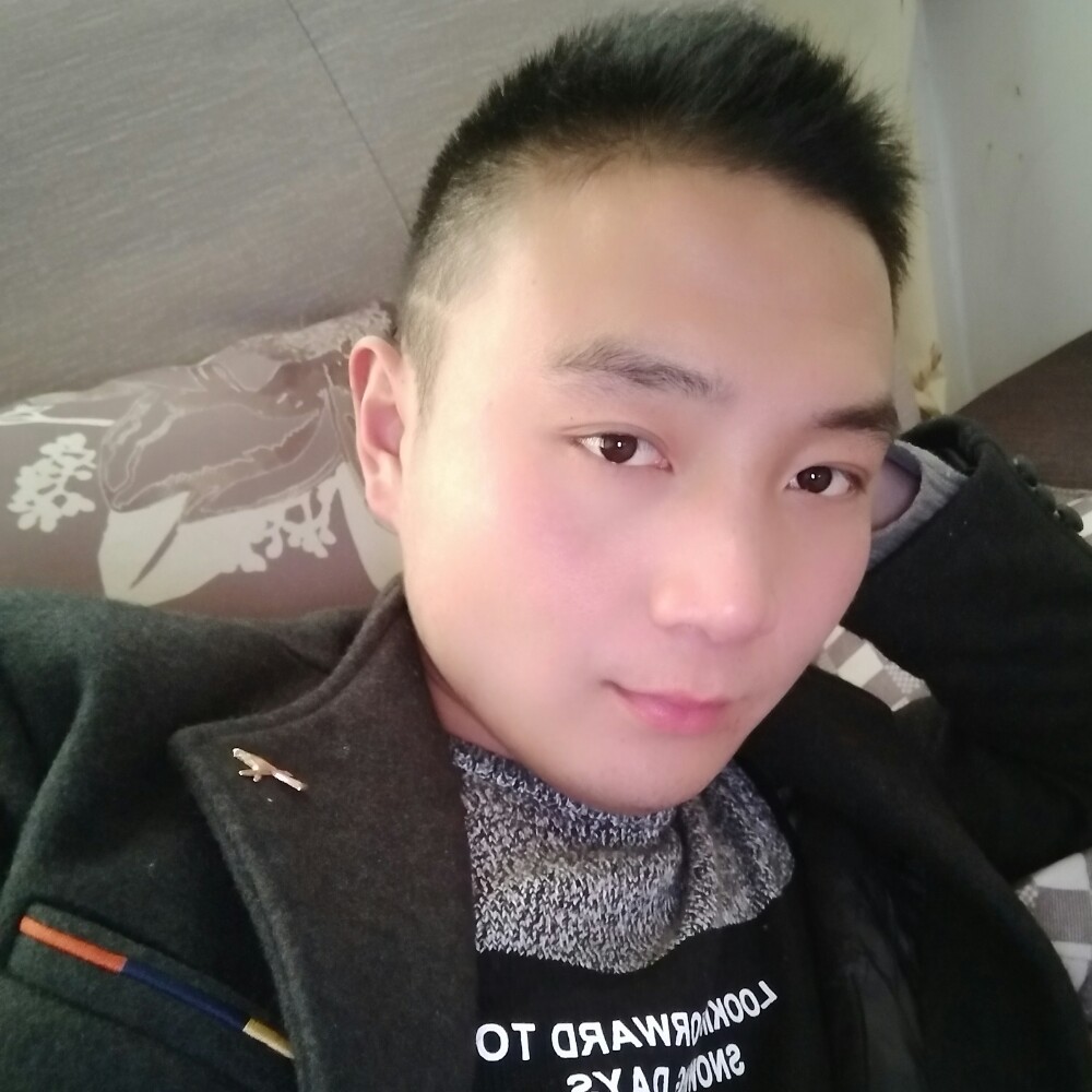 现实小海豚的照片