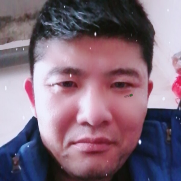树叶漠然的照片