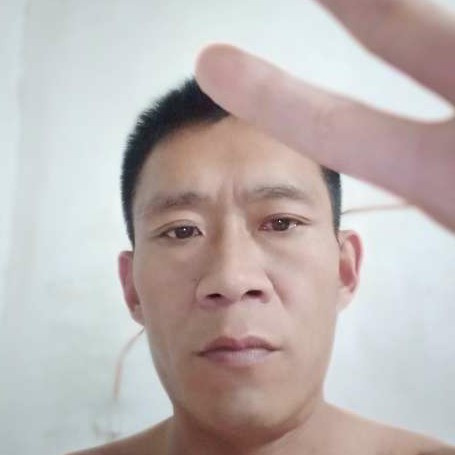 美好挽手猫咪的照片