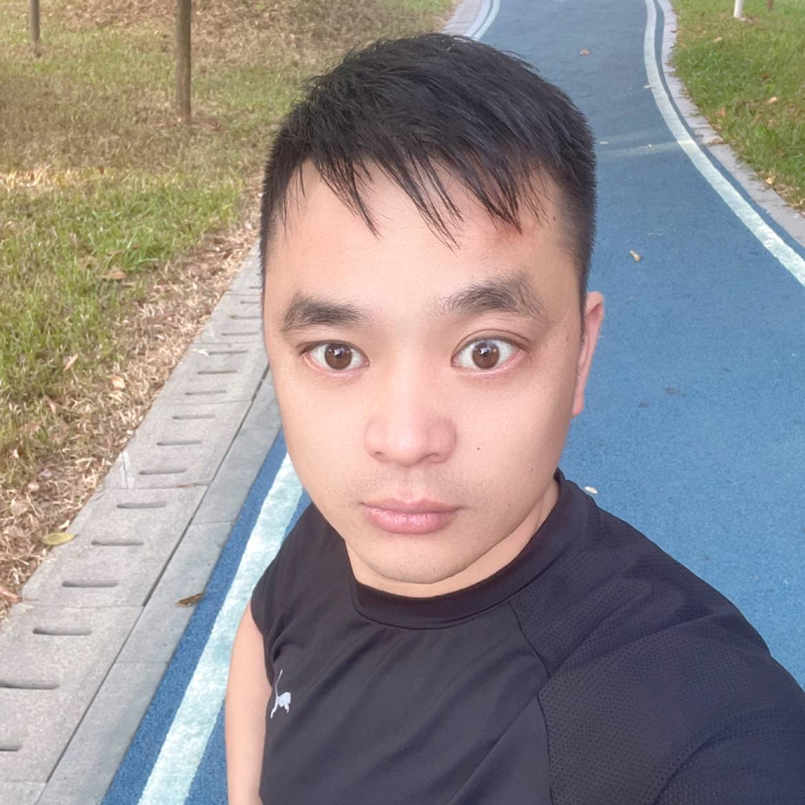 小猫咪爱偷吃鱼的照片