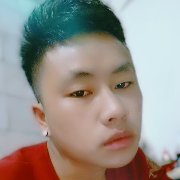 苹果含羞草的照片