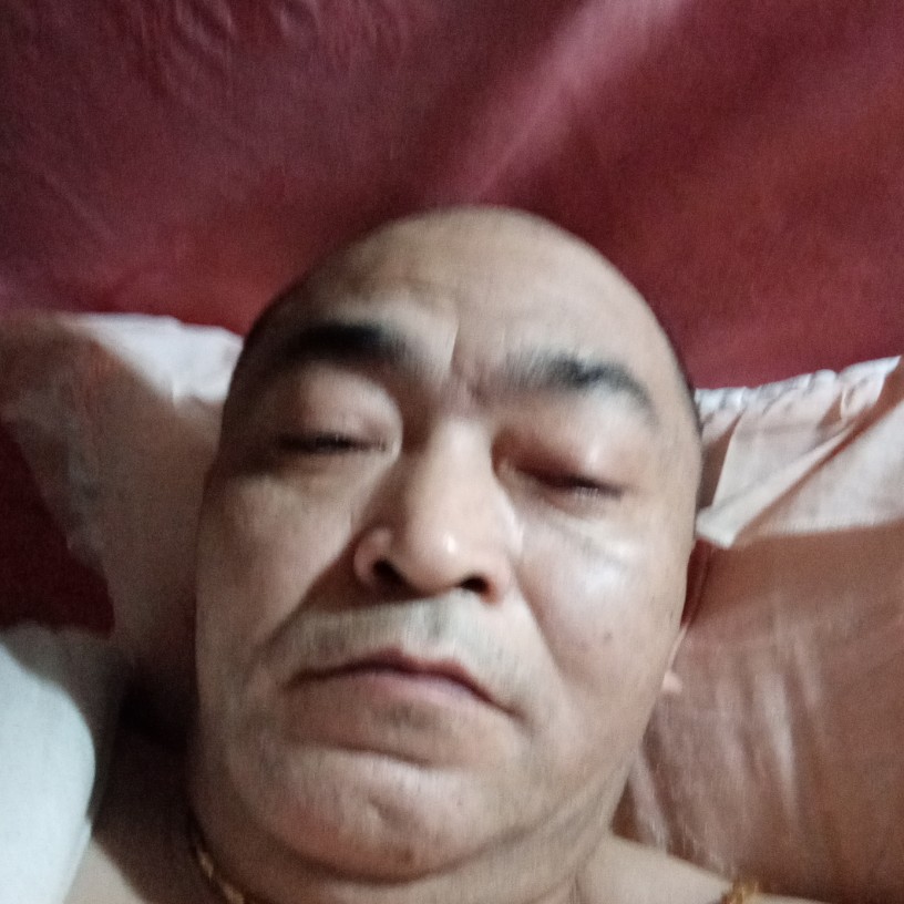 西牛苦恋笨笨的照片