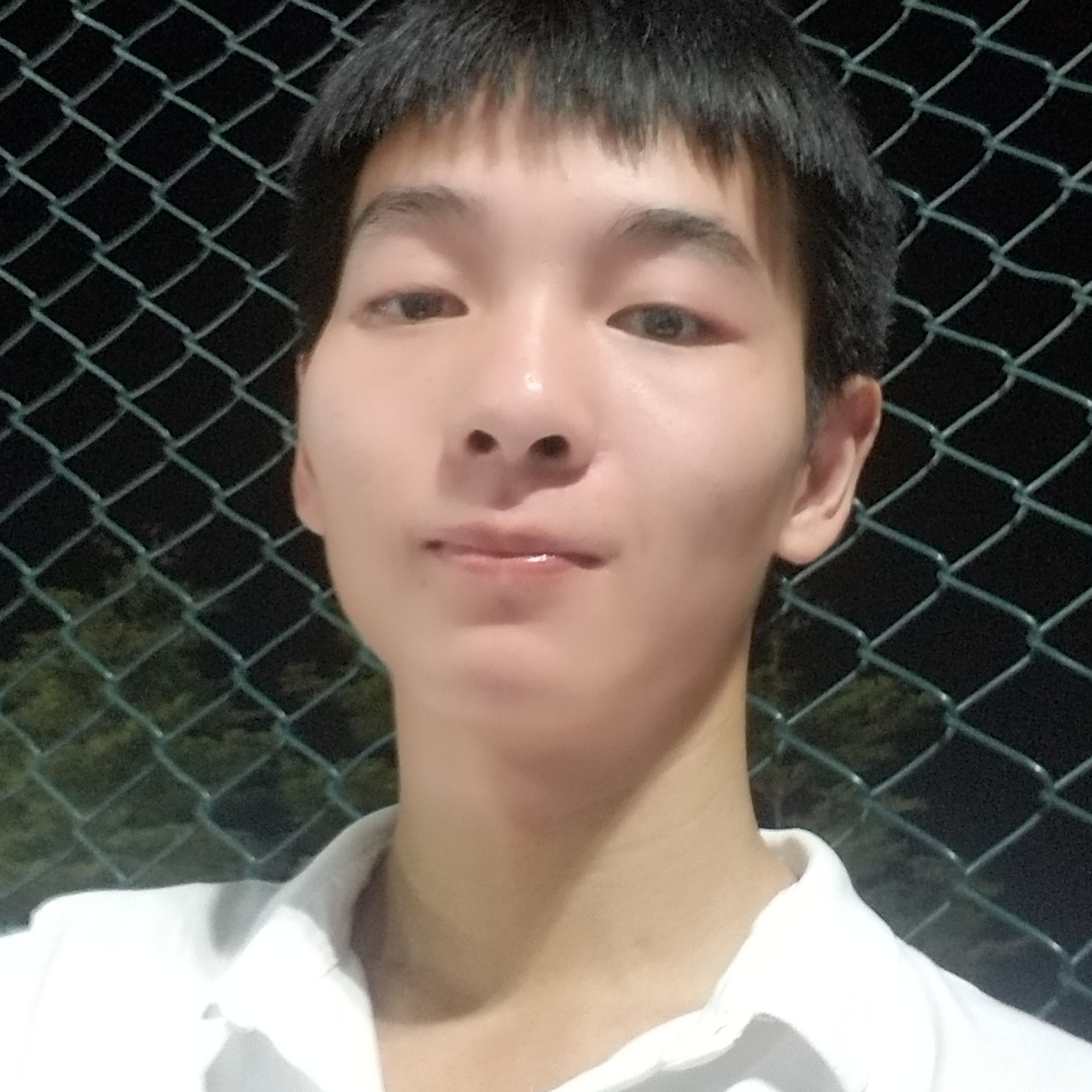 好哥哥桃子芒果的照片
