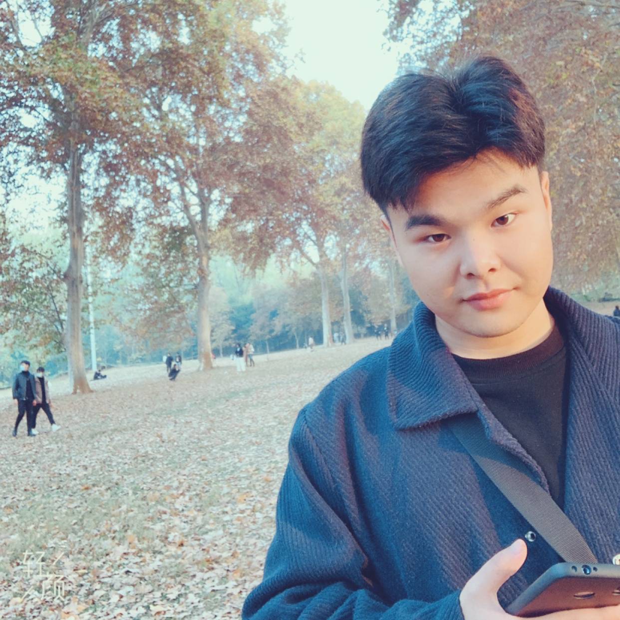 复杂的钢笔的照片