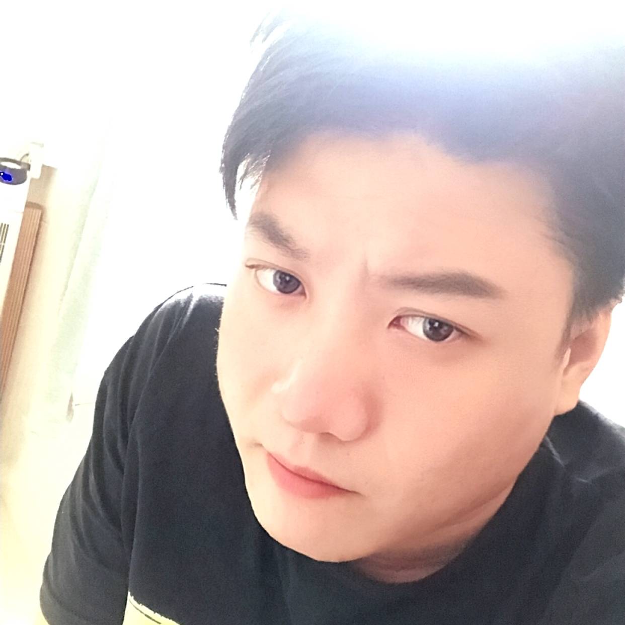 企鹅的照片