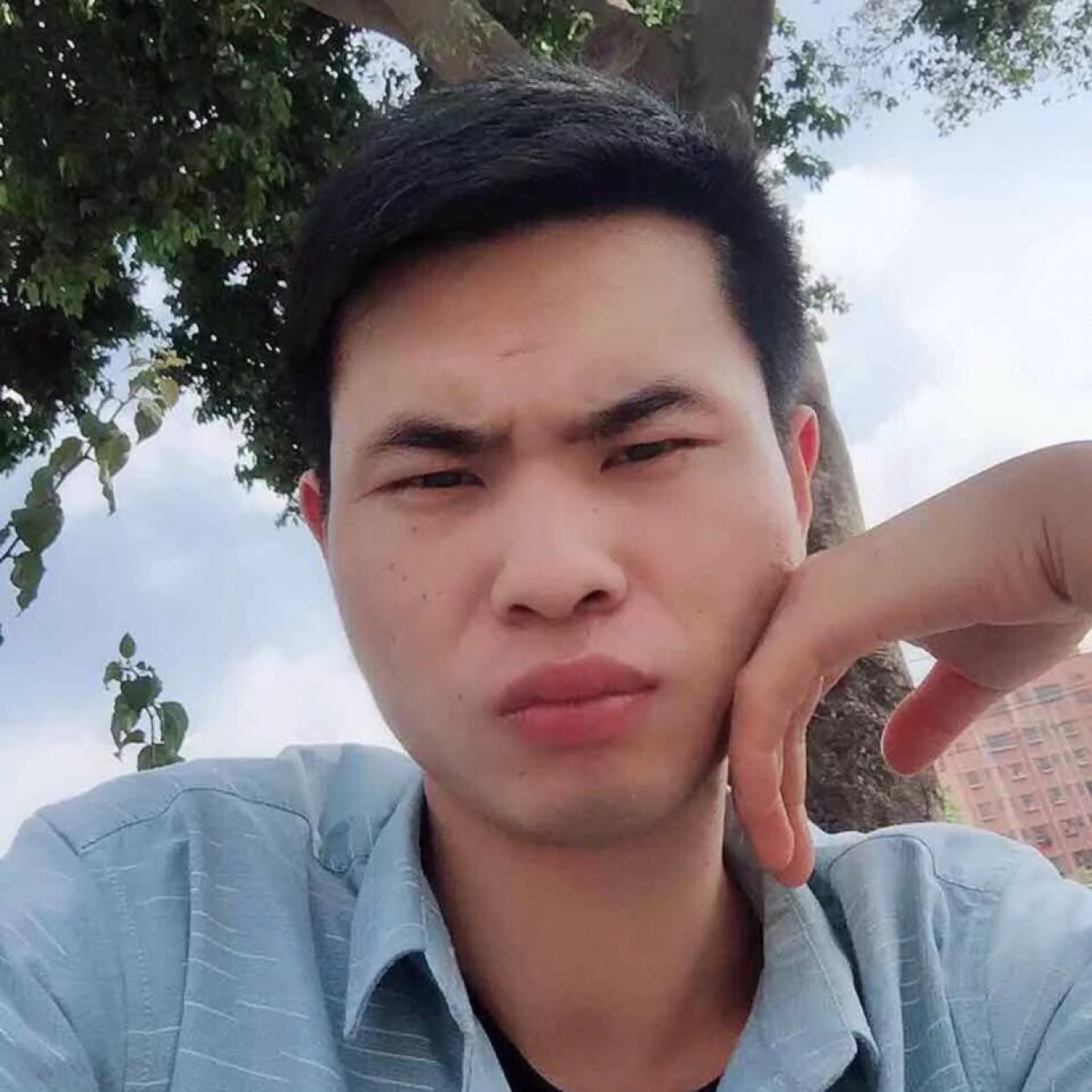 玉米愿明亮的照片