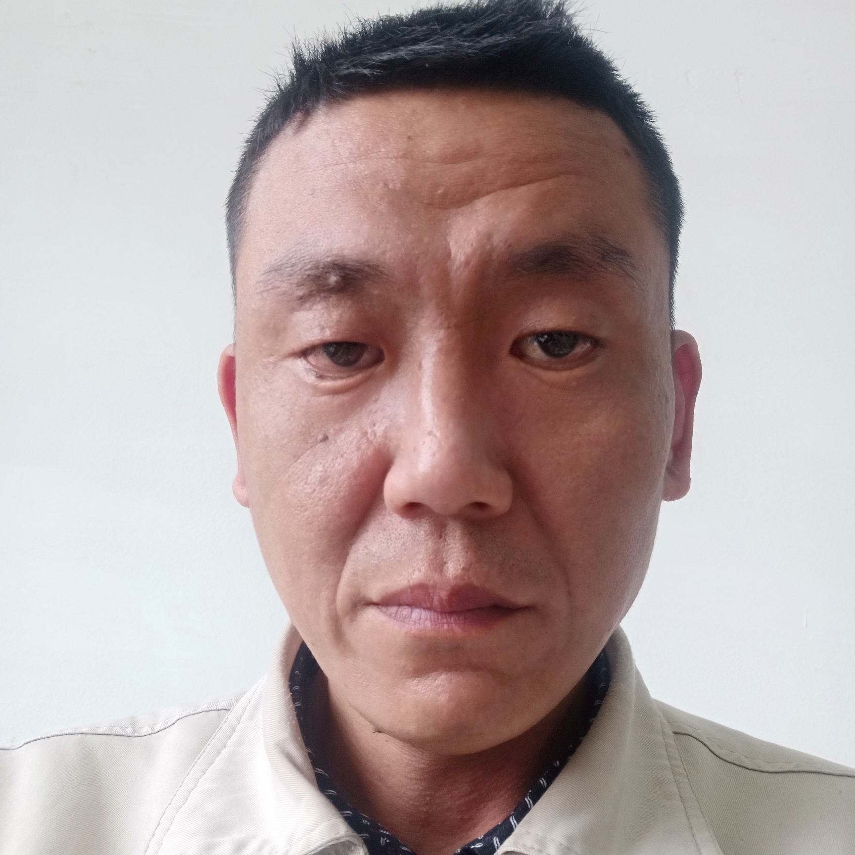 羊活泼的照片