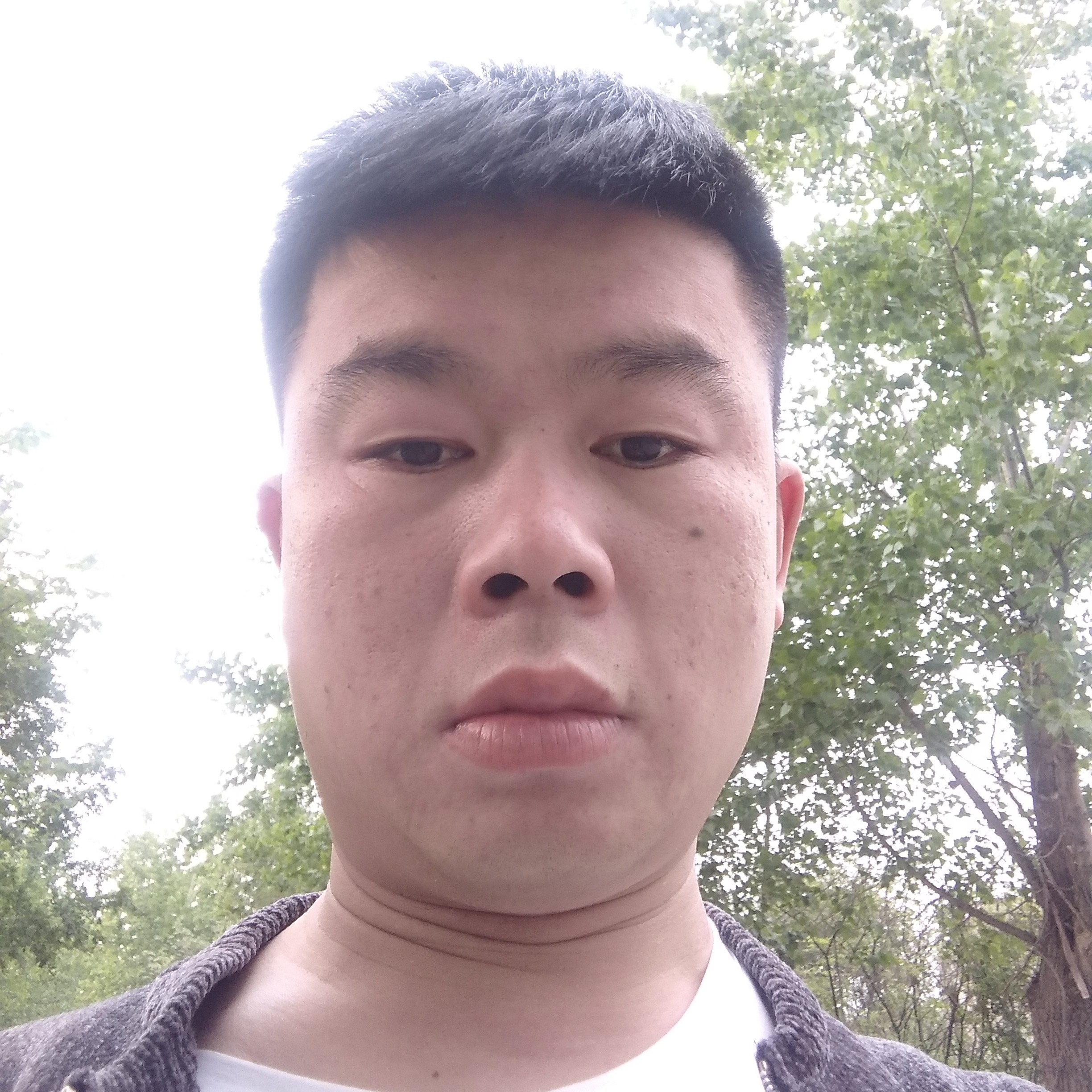思恋放弃超级的照片