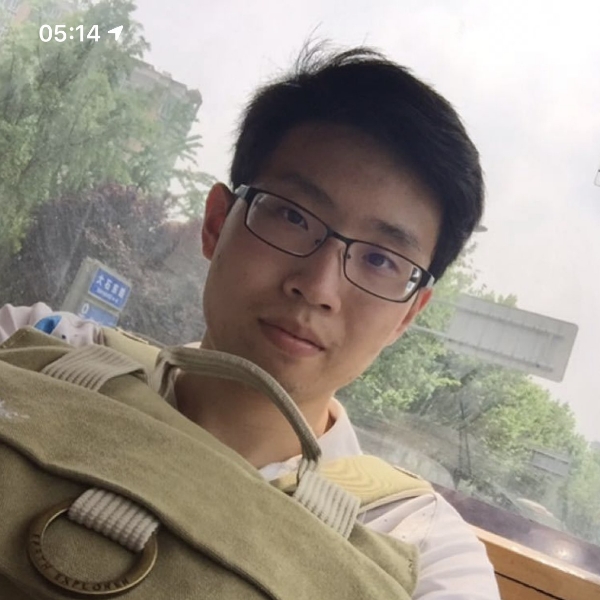 森槿停止专注的照片