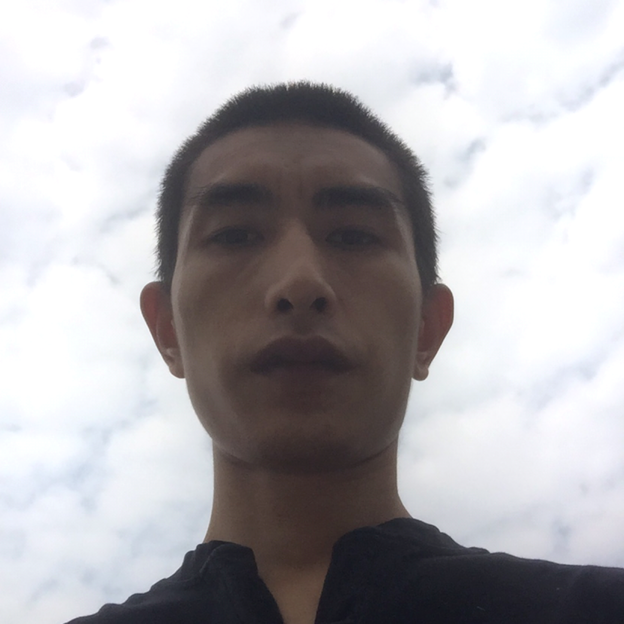 平凡的心情的照片