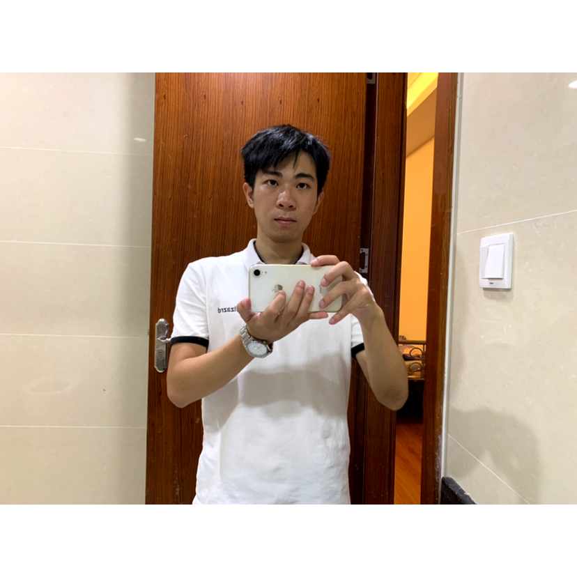 垂耳兔的照片