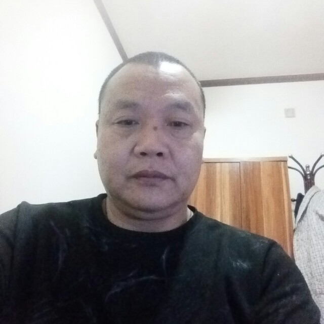 羞涩铅笔的照片