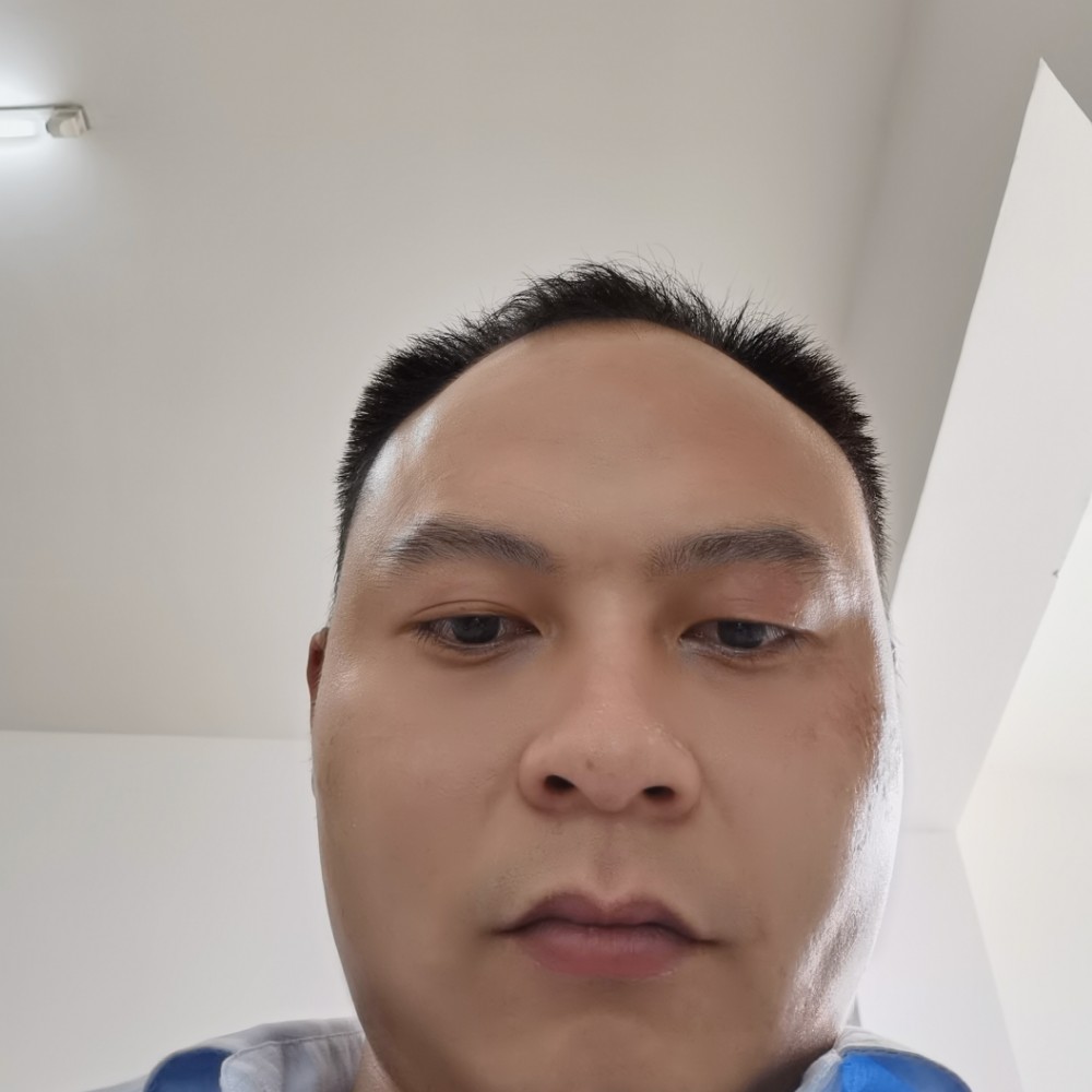 仙人掌多么拼搏的照片
