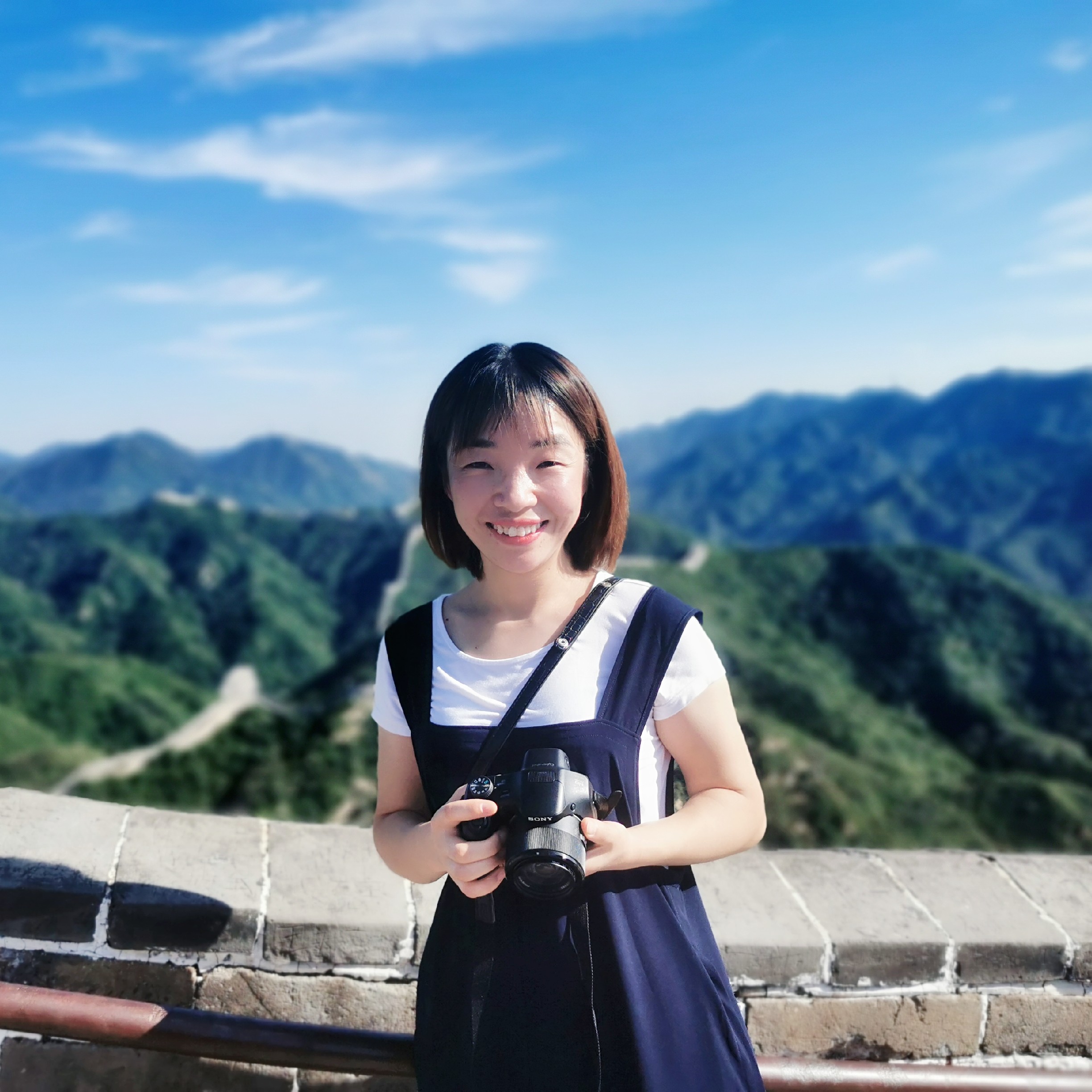 沉默的鱼的照片