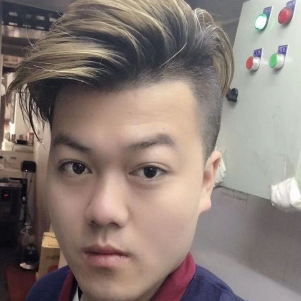 不安漫步海燕的照片