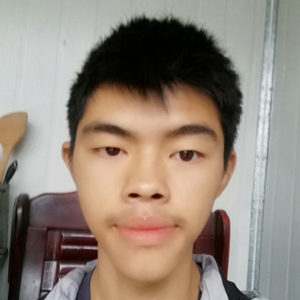 笨笨金毛的照片