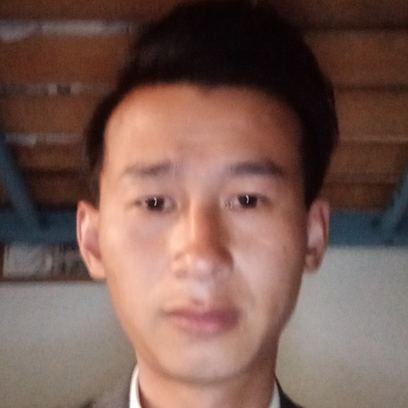 太阳請老实的照片