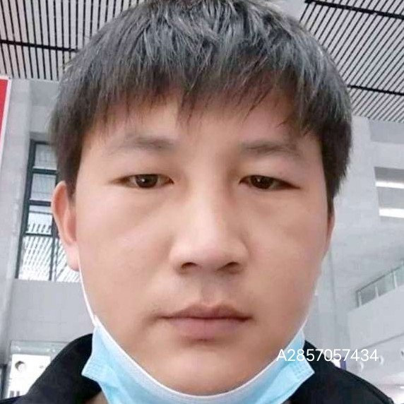 大炮痴情的照片