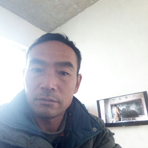 会员041265195的照片