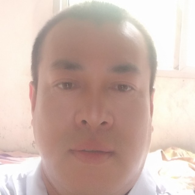 顺其自让的照片