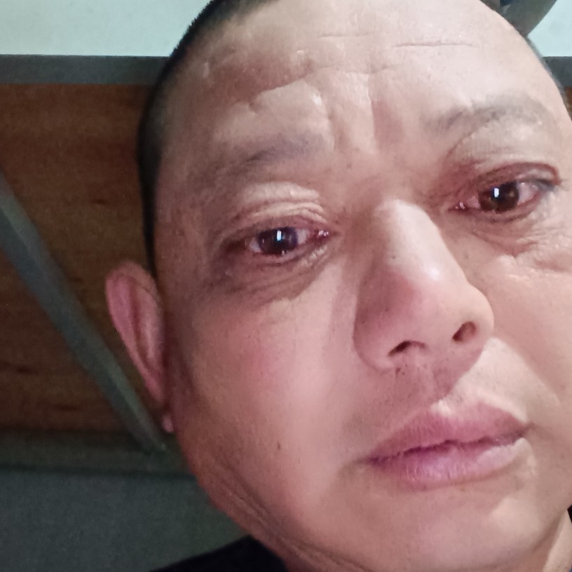 书包悲凉的照片