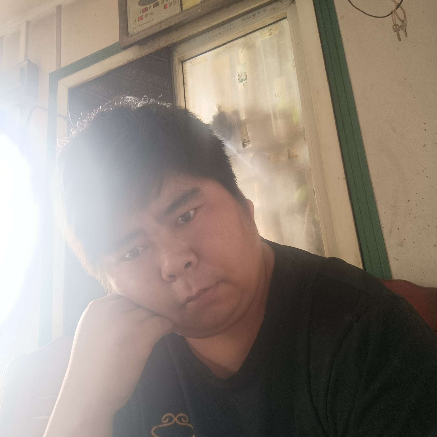 唯一的請小懒猪的照片