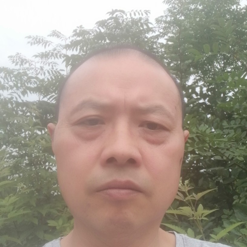 诗风吟的照片