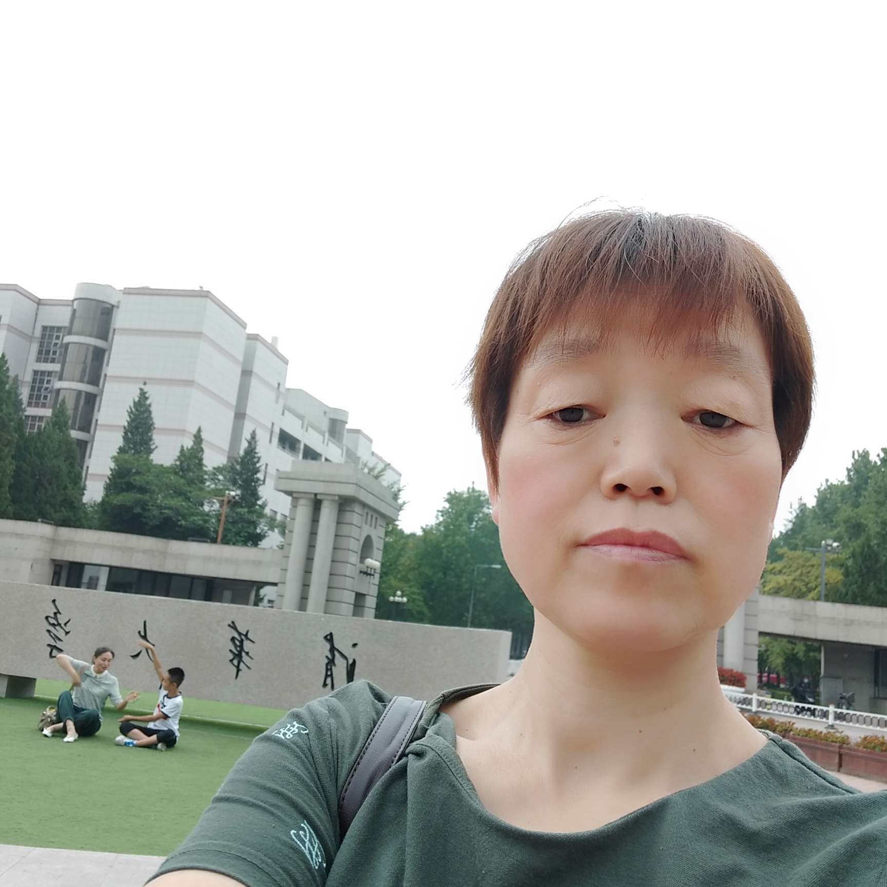 风雨后的小草的照片