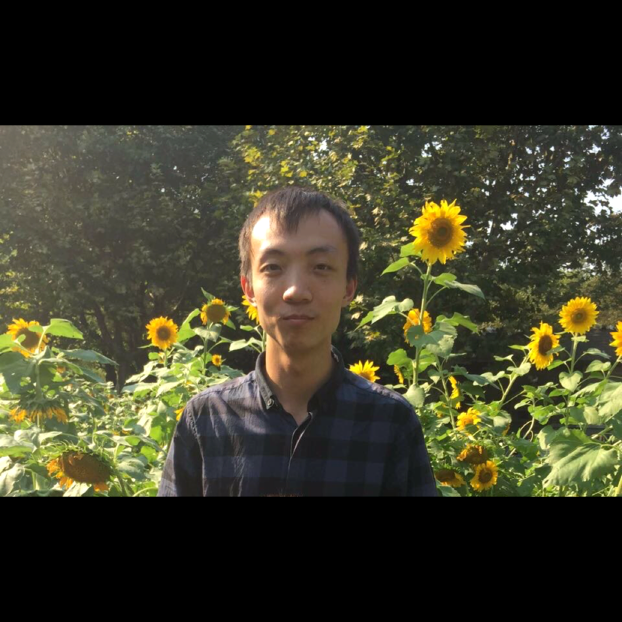 圆眼膘膘的照片