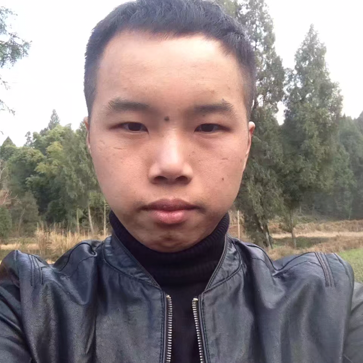 咖啡豆有聪慧的照片
