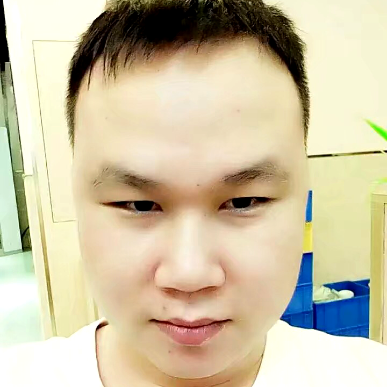 后物天则的照片