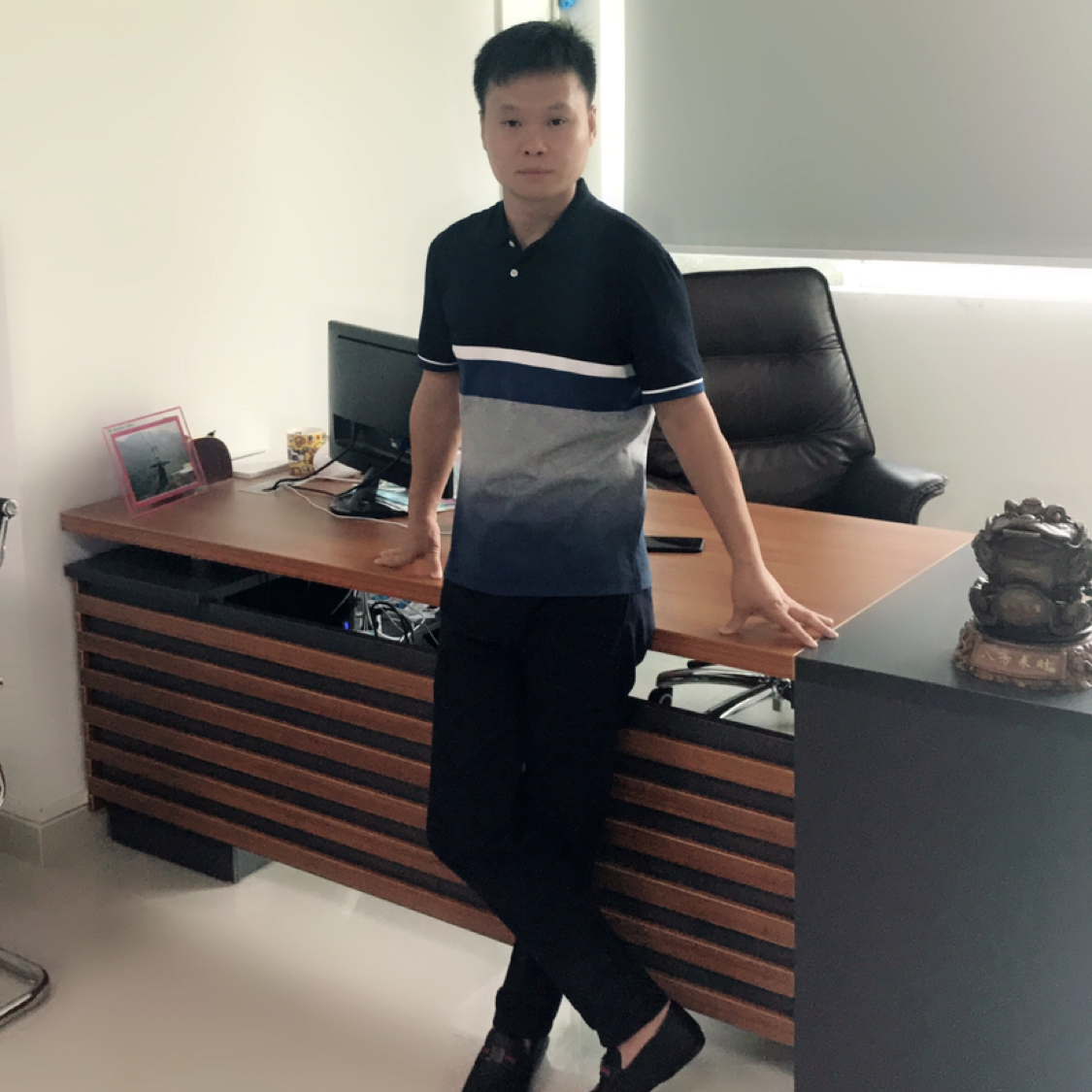 冬天的松树的照片