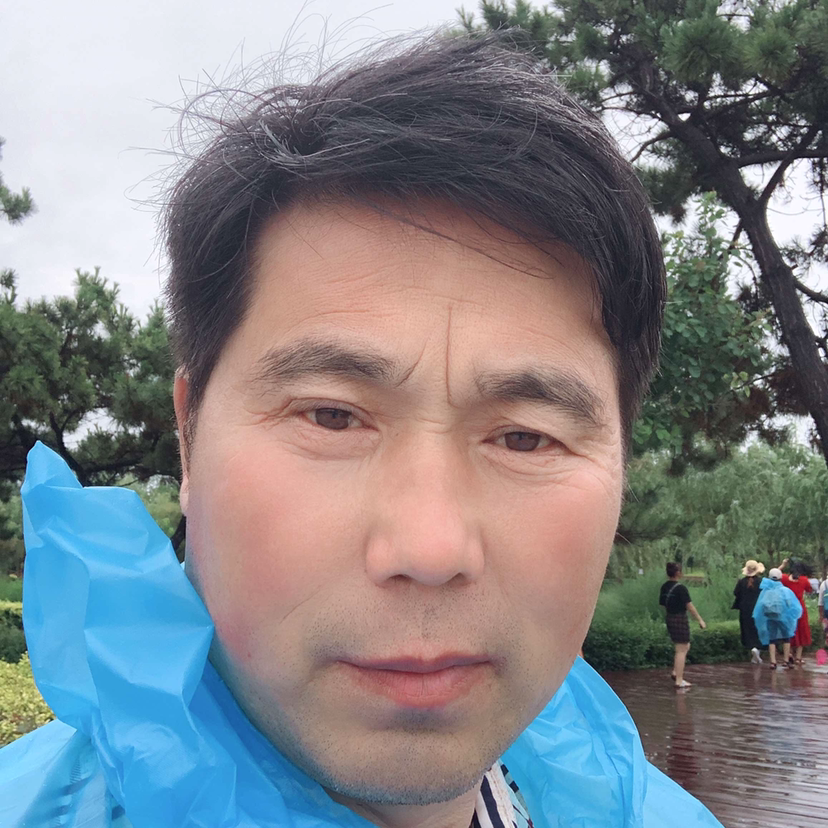 冷风爱落寂的照片