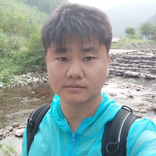 忐忑小海豚。的照片