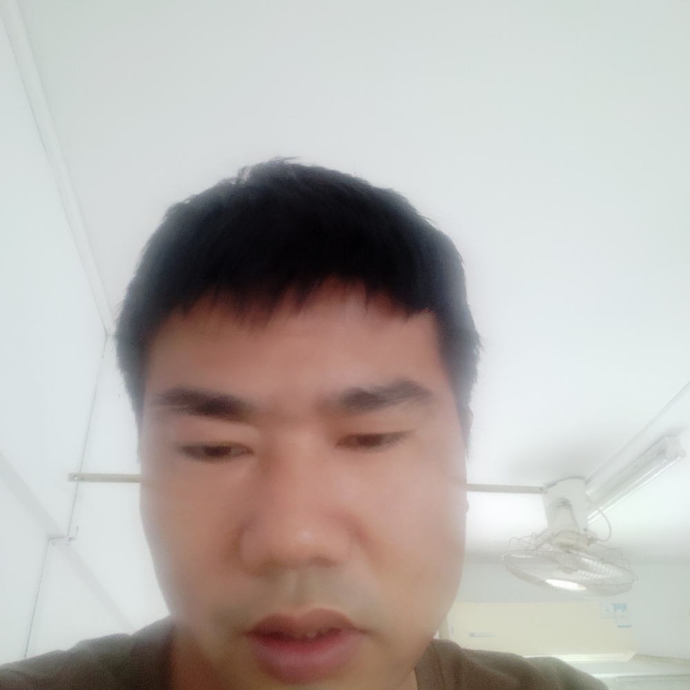 树叶就负责的照片