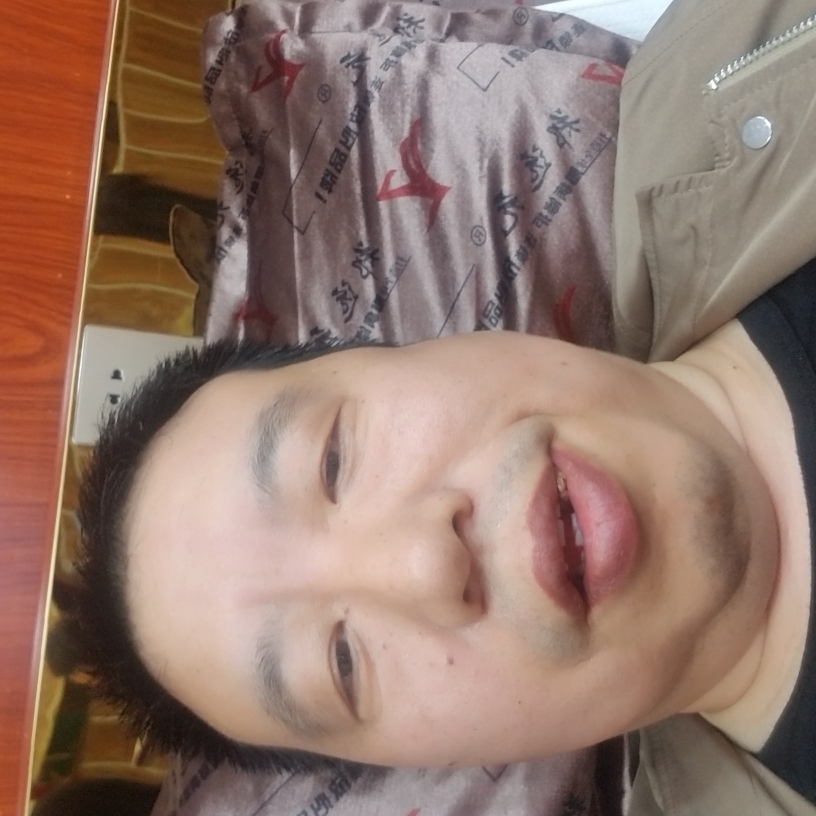 疯狂闻小海豚的照片