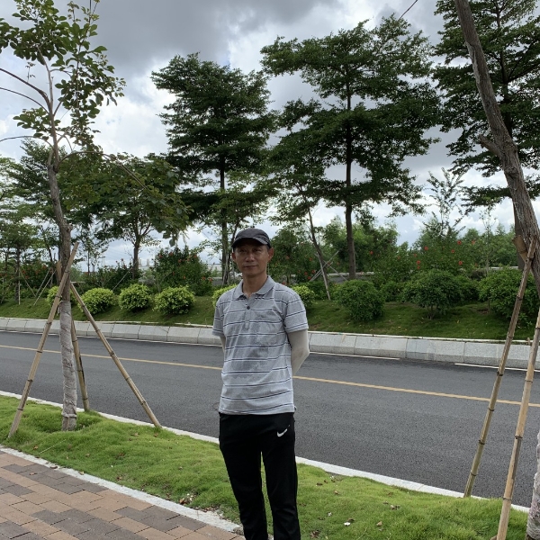 泪雨苦恋开放的照片