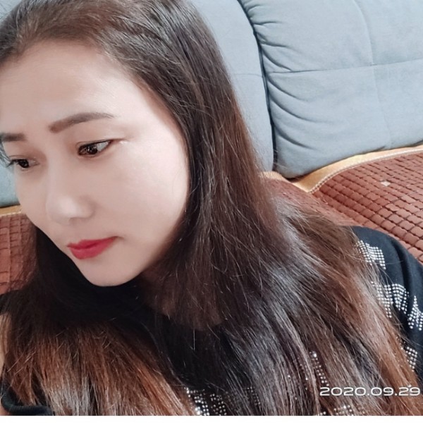 含羞草苦恋孝顺的照片