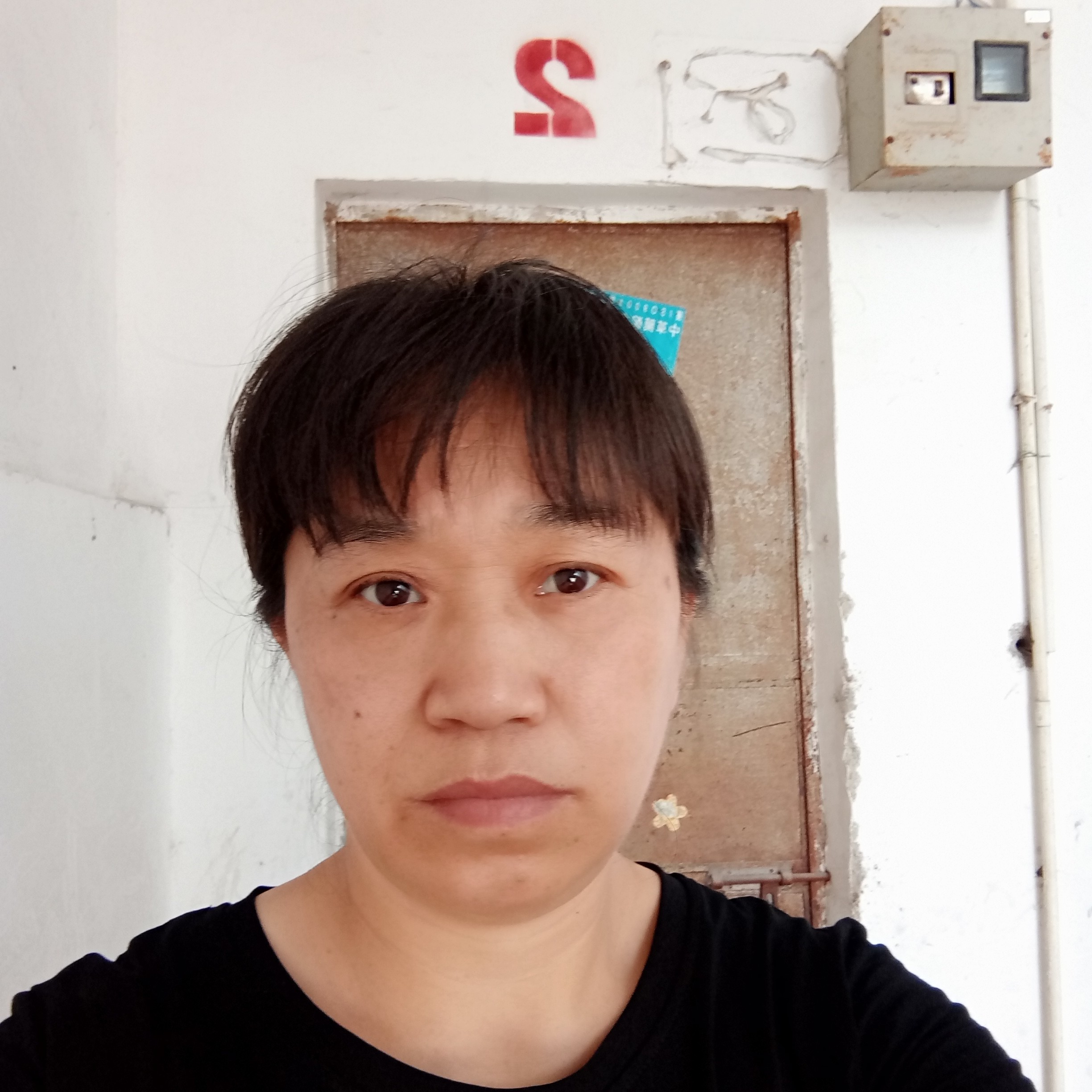 自然踢花魂的照片
