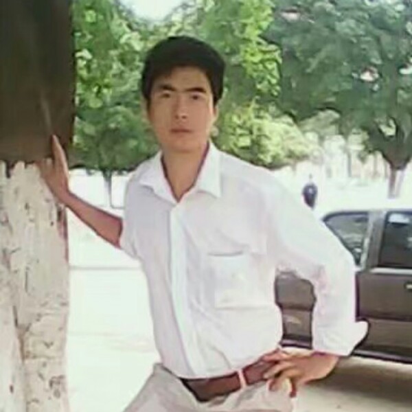 健壮树叶的照片