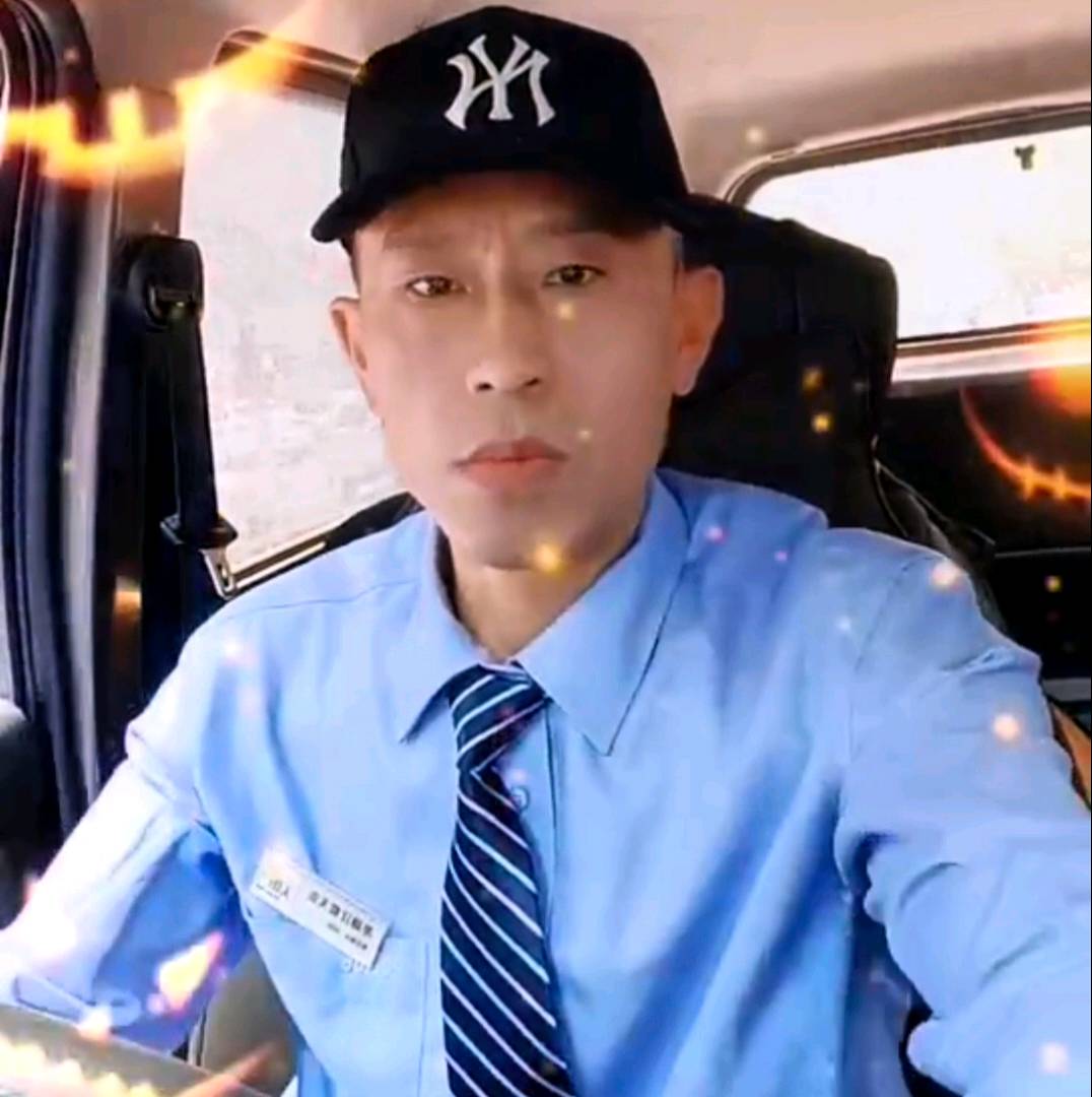 翅膀停止动人的照片
