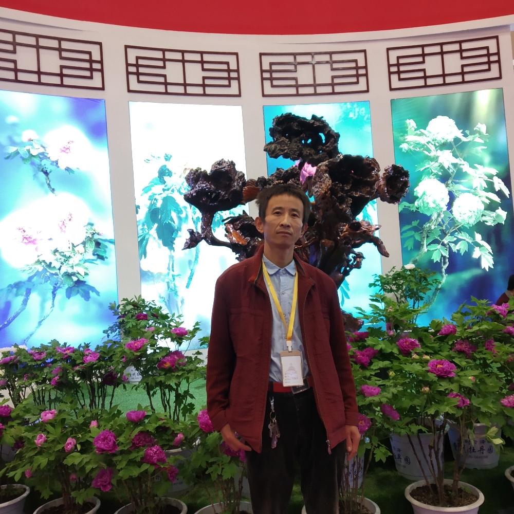 发卡踏实的照片